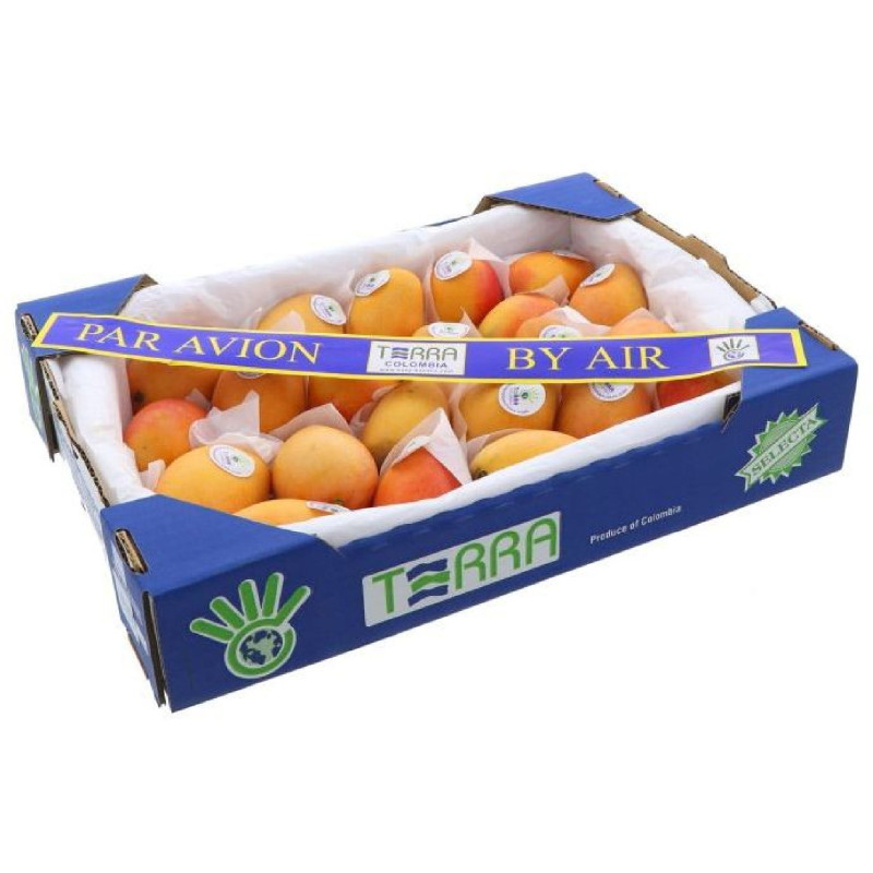 MANGUE MINI KG